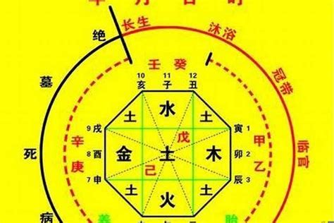 八字喜木|喜用神为木 喜用神为木怎么旺自己